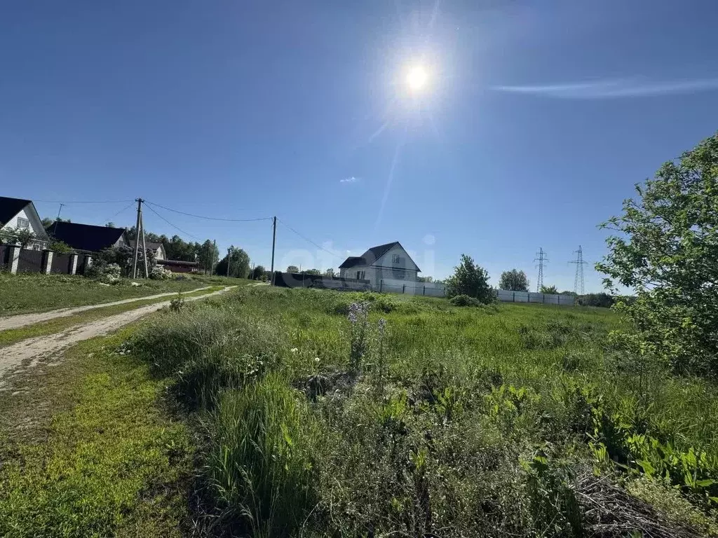Участок в Мордовия, Ковылкинский район, Кочелаевское с/пос, с. ... - Фото 1