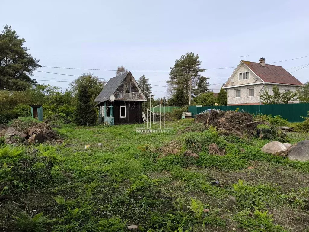 Участок в Ленинградская область, Всеволожский район, Рахьинское ... - Фото 1
