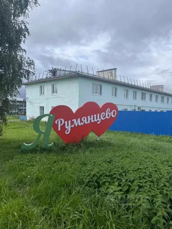 3-к кв. Нижегородская область, Дальнеконстантиновский муниципальный ... - Фото 1
