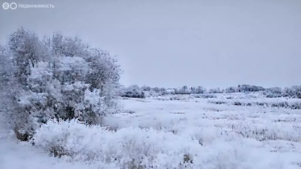 Участок в Илекский район, посёлок Димитровский (8 м) - Фото 1