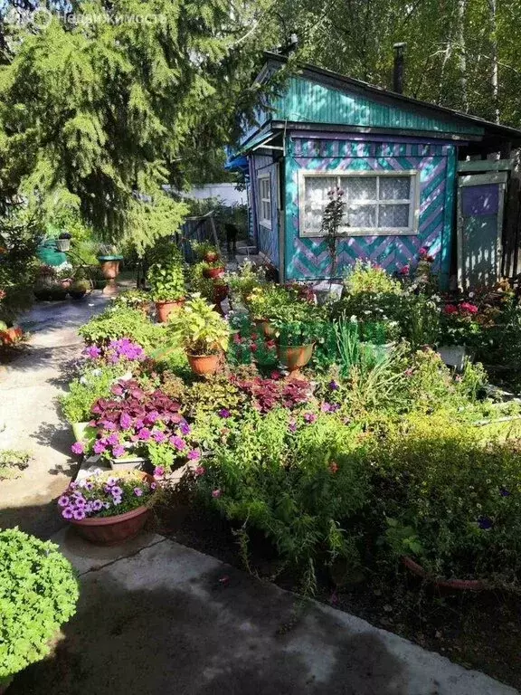 Дом в Читинский район, СТ № 55 Автозаводец (50 м) - Фото 1