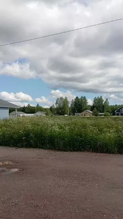 Участок в Ленинградская область, Выборгский район, Селезневское с/пос, ... - Фото 2