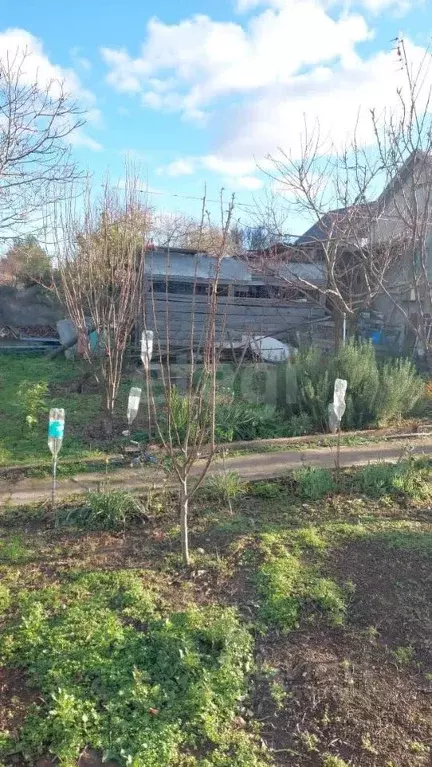 Дом в Крым, Черноморское пгт, Тарханкут СНТ 102 (29 м) - Фото 1