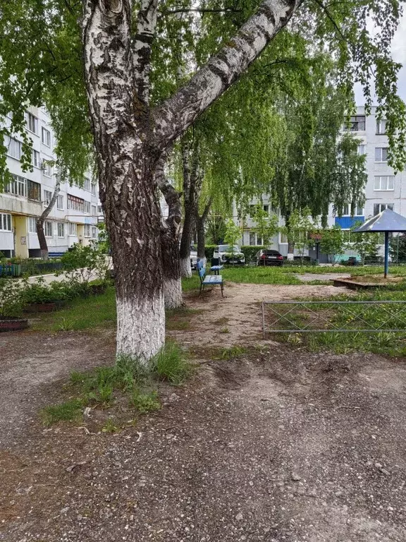 2-к кв. Самарская область, Жигулевск ул. Ткачева, 10 (47.0 м) - Фото 2