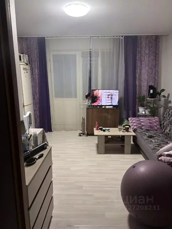 Студия Красноярский край, Красноярск ул. Шевченко, 48 (24.0 м) - Фото 1