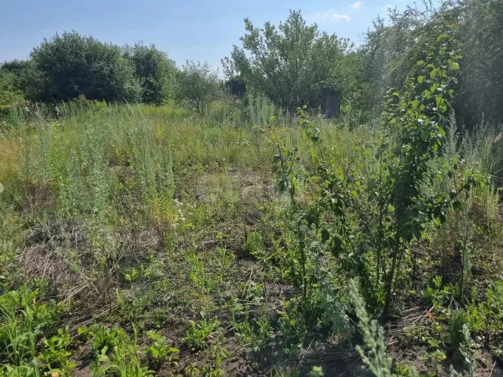 Участок в Белгородская область, Губкин Журавушка СТ, 959 (6.0 сот.) - Фото 0