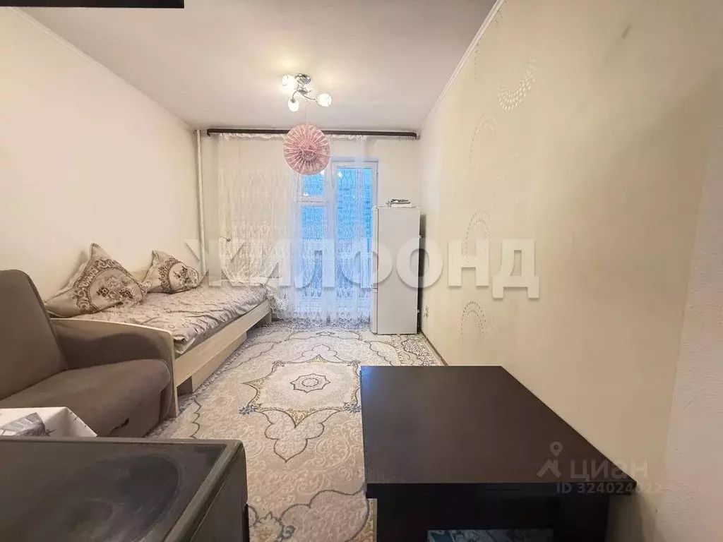 1-к кв. Новосибирская область, Новосибирск ул. Виктора Уса, 15 (19.3 ... - Фото 2