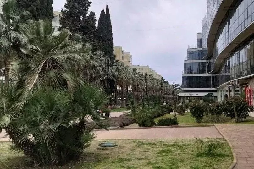 1-к кв. Краснодарский край, Сочи Центральный мкр, ул. Навагинская, 12 ... - Фото 2