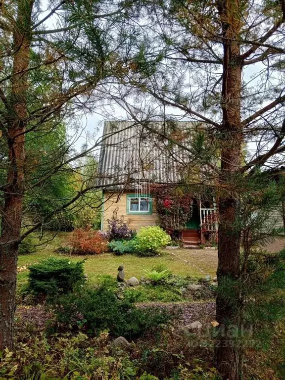 Дом в Ленинградская область, Лужский район, Мшинское с/пос, Мшинская ... - Фото 1