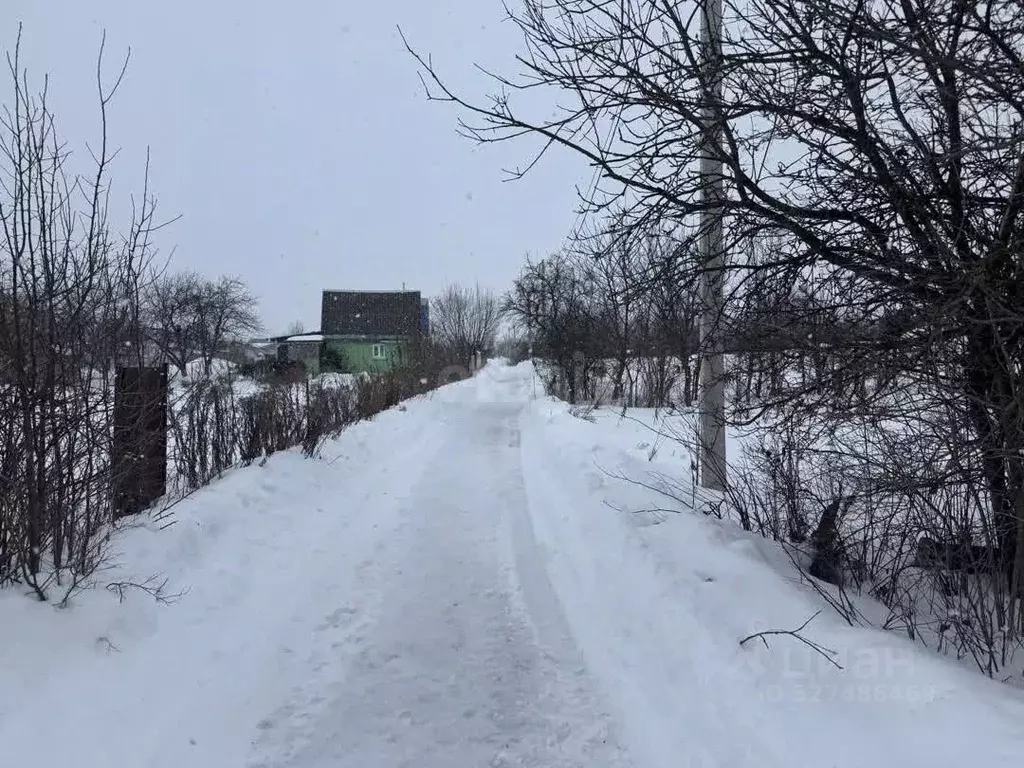 Участок в Брянская область, Выгоничский район, Кокинское с/пос, с. ... - Фото 1