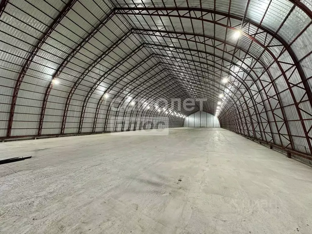 Помещение свободного назначения в Московская область, Раменское За ... - Фото 1