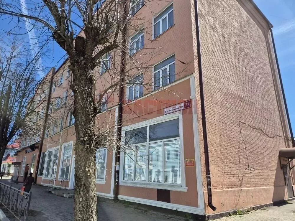 Комната Московская область, Ногинск Богородский городской округ, ул. ... - Фото 1