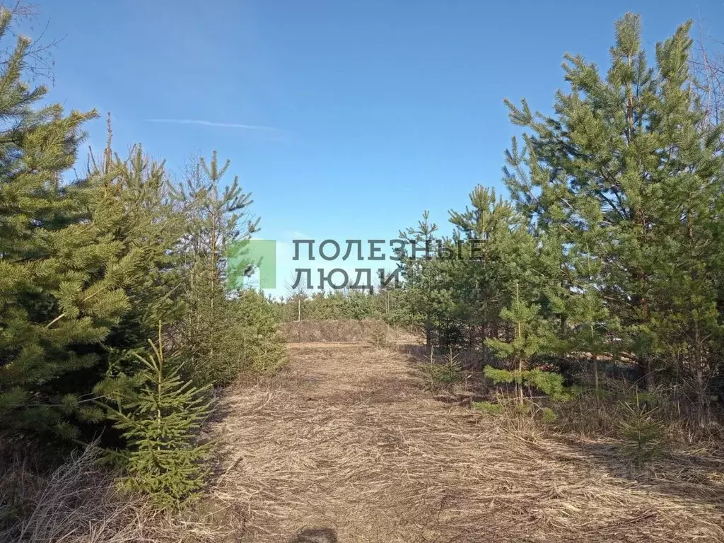 Участок в Тверская область, Калининский муниципальный округ, д. Олбово ... - Фото 0