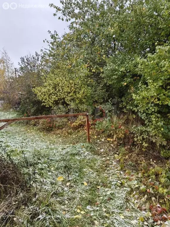 Участок в Вологда, садоводческое товарищество Надежда (10 м) - Фото 1