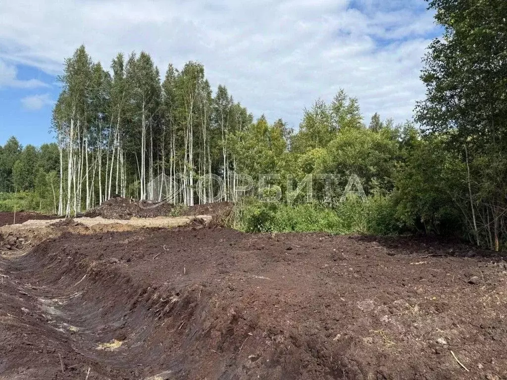 Участок в Тюменская область, Тюменский район, д. Решетникова  (6.16 ... - Фото 0