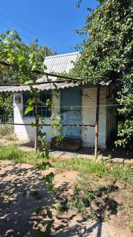 Дом в Волгоградская область, Волгоград Горчичник СНТ, 169 (25 м) - Фото 0