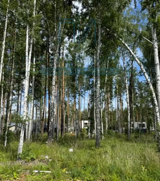 Участок в Свердловская область, Сысертский муниципальный округ, пос. ... - Фото 1