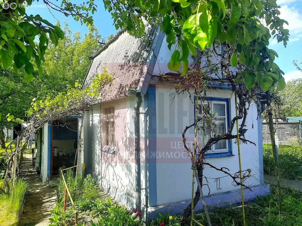 Дом в Калининград, СНТ Солнечное, Дружная улица, 8 (33 м) - Фото 1