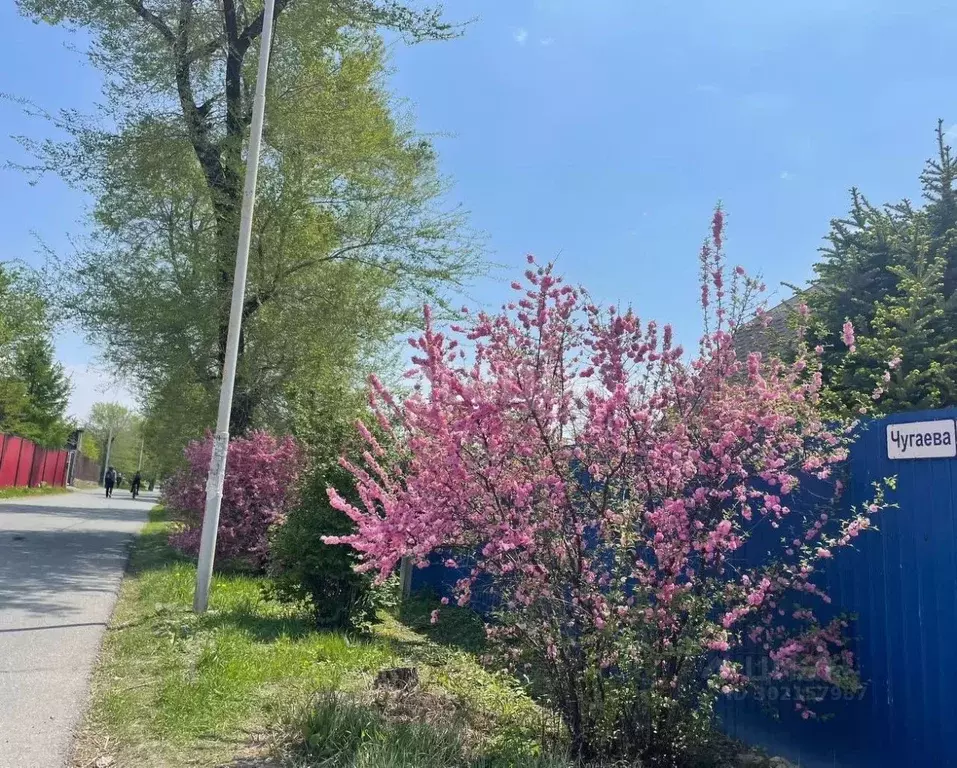 Дом в Приморский край, Владивостокский городской округ, пос. Трудовое ... - Фото 0