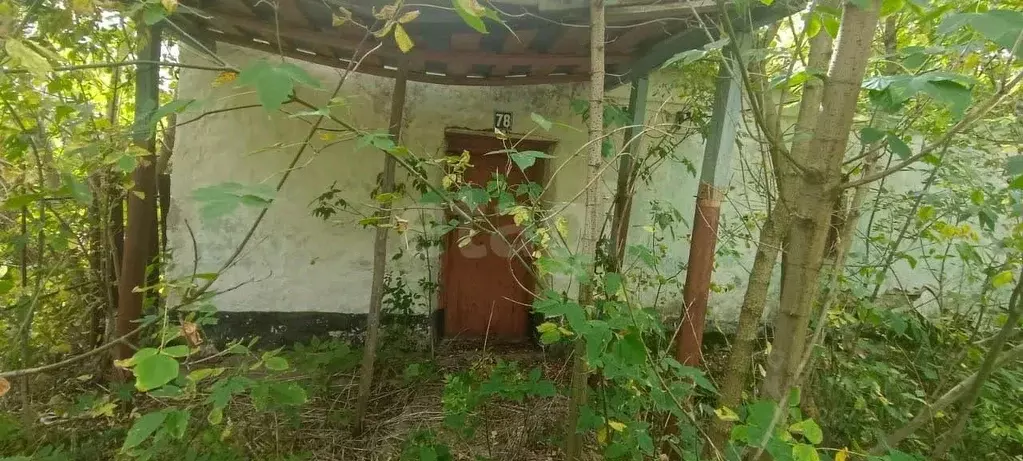 Участок в Липецкая область, Задонский муниципальный округ, д. Синявка  ... - Фото 2