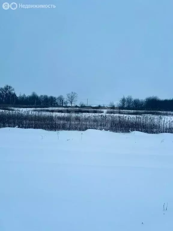 Участок в Калининградская область, Гвардейский муниципальный округ, ... - Фото 2