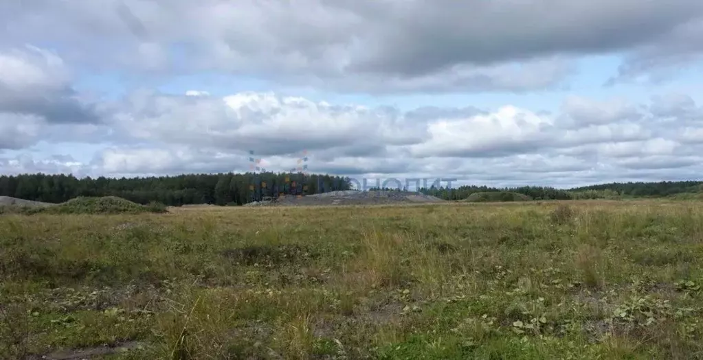Участок в Нижегородская область, с. Безводное ул. Мирная (10.0 сот.) - Фото 1