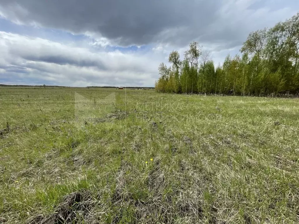 Участок в Тюменская область, Тюменский район, Онегин кп  (6.0 сот.) - Фото 1