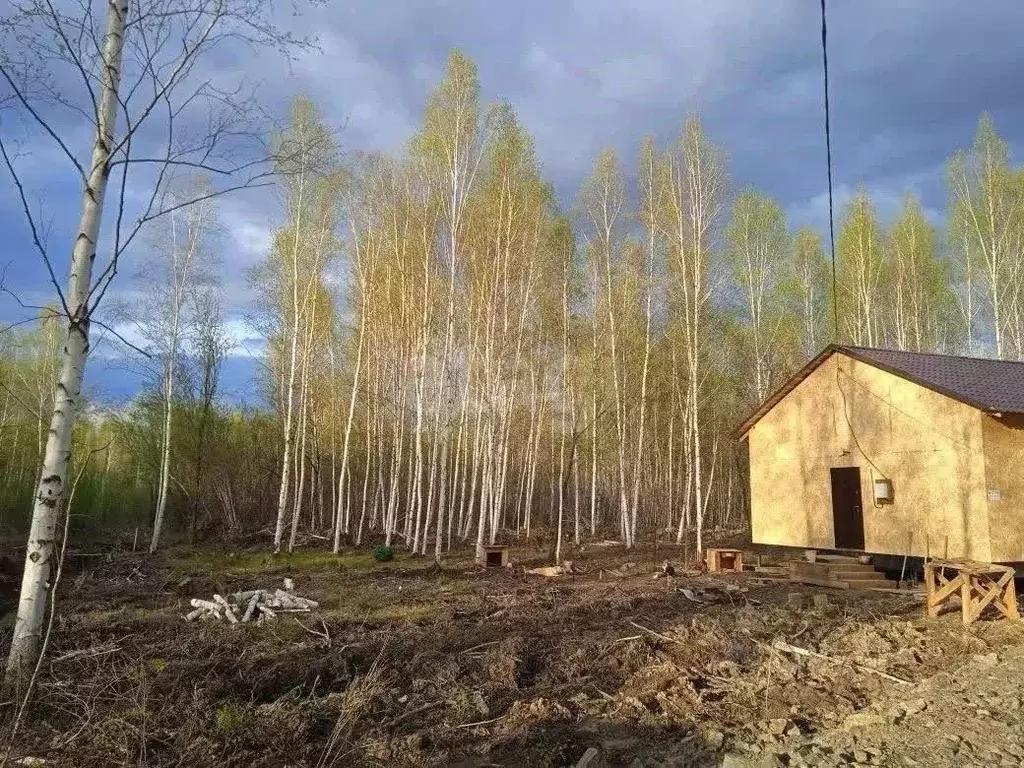 Участок в Хабаровский край, Хабаровск пос. Березовка, ул. Богородская ... - Фото 1