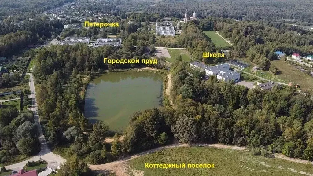 Участок в Московская область, Серпухов городской округ, Сосновый бор ... - Фото 1