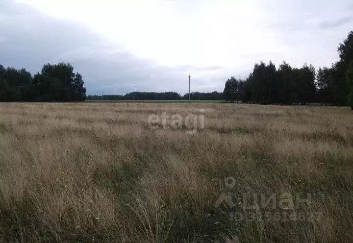Участок в Челябинская область, Аргаяшский район, Акбашевское с/пос, д. ... - Фото 0