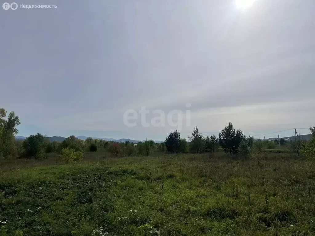 Участок в Майминский район, село Подгорное, улица Прибрежная (15 м) - Фото 2