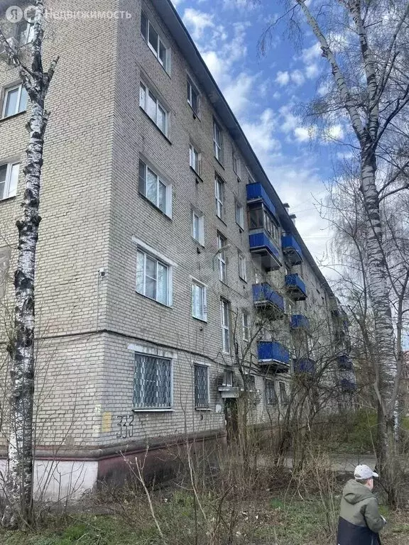 1-комнатная квартира: Орехово-Зуево, улица Гагарина, 33 (32.4 м) - Фото 2