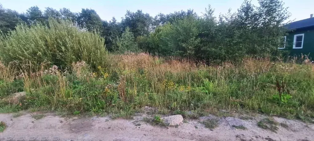 Участок в Ленинградская область, Кировский район, Путиловское с/пос, ... - Фото 1