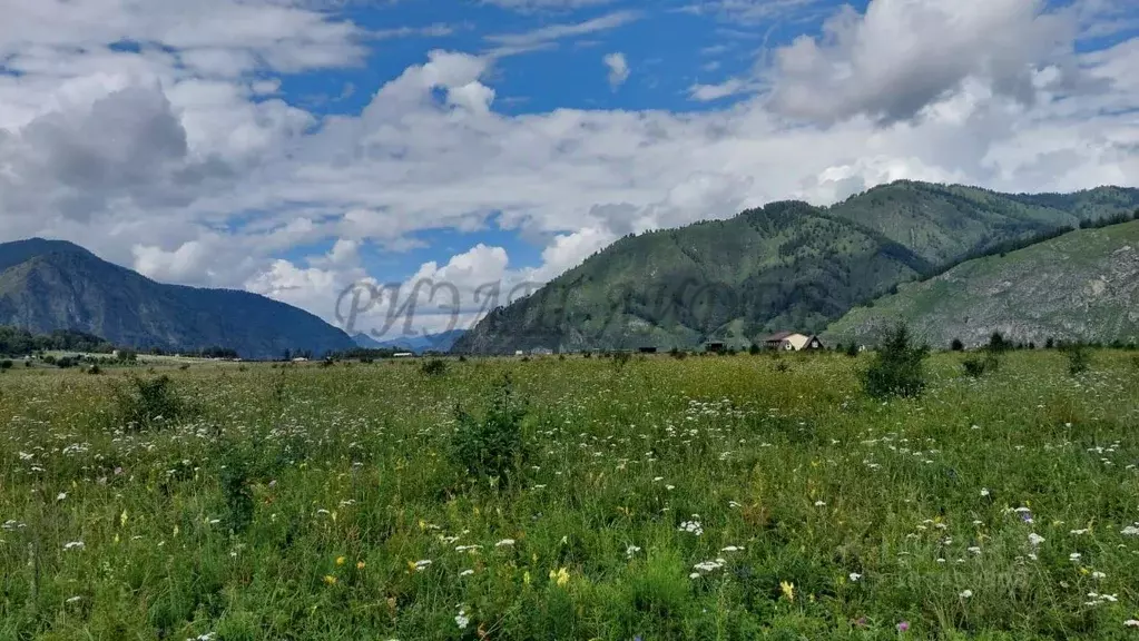 Участок в Алтай, Чемальский район, Рублевка ДПК  (10.0 сот.) - Фото 0