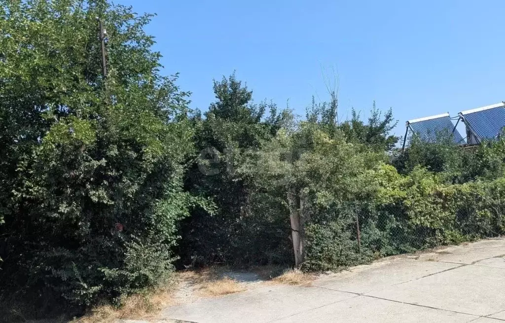 Участок в Краснодарский край, Новороссийск ул. Грибоедова (5.64 сот.) - Фото 1