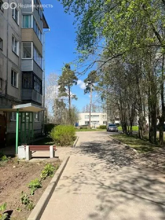 2-комнатная квартира: посёлок Сосново, Первомайская улица, 5 (44.1 м) - Фото 1