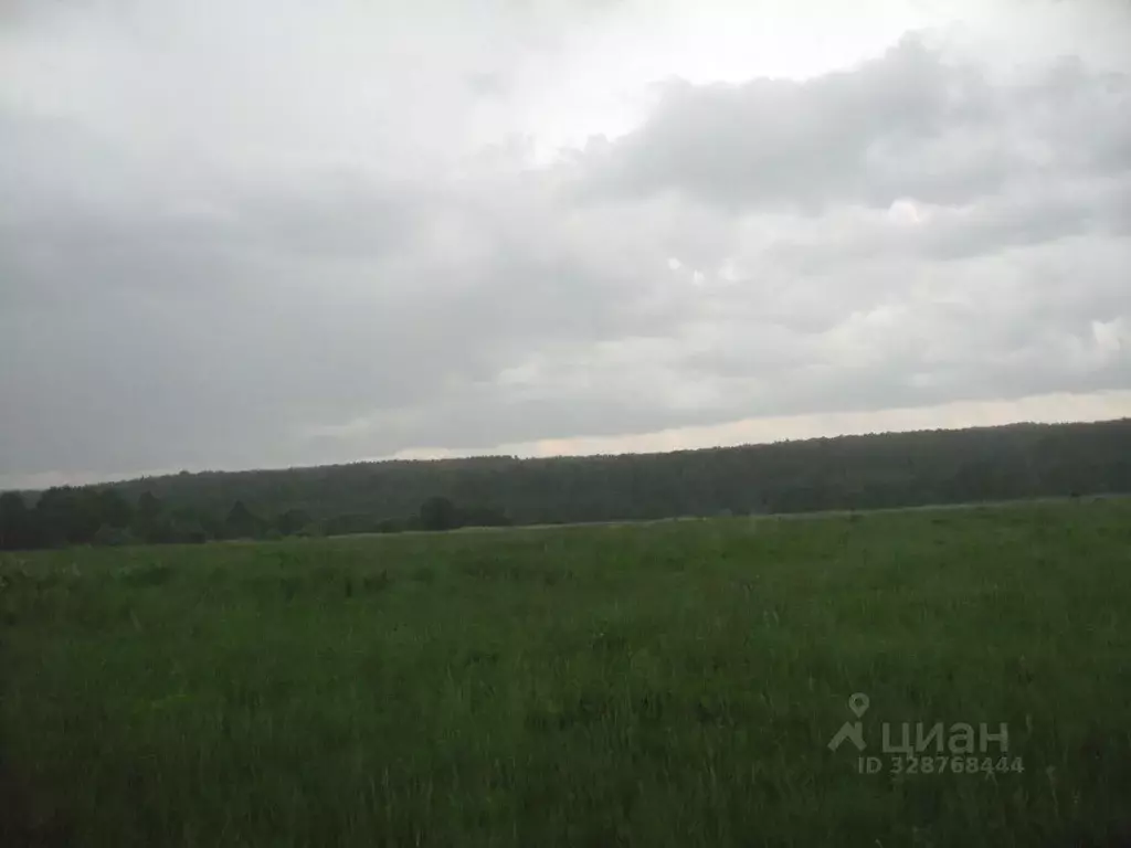 Участок в Тверская область, Старицкий муниципальный округ, д. Сидорово ... - Фото 1