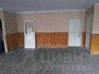 Помещение свободного назначения в Челябинская область, Коркино ул. ... - Фото 2