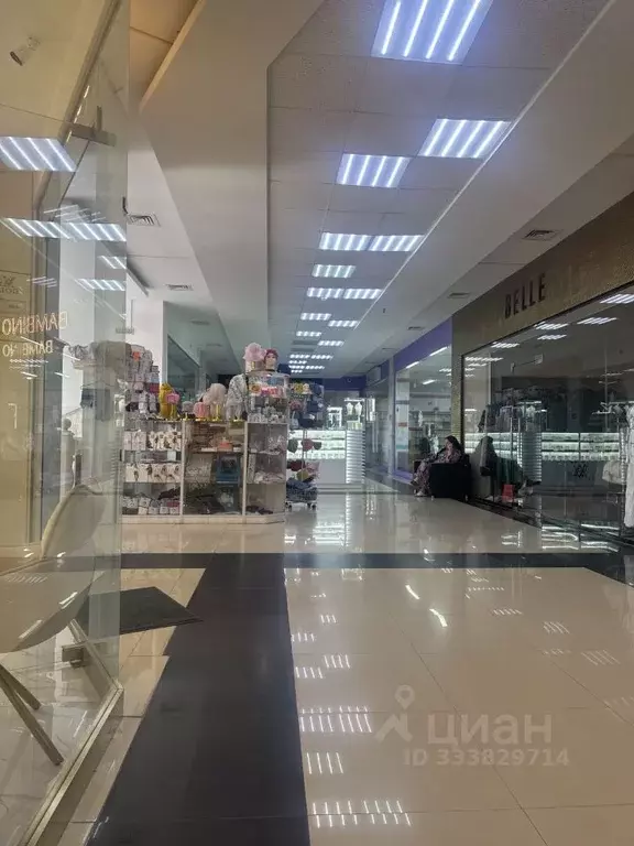 Помещение свободного назначения в Чеченская республика, Грозный просп. ... - Фото 1