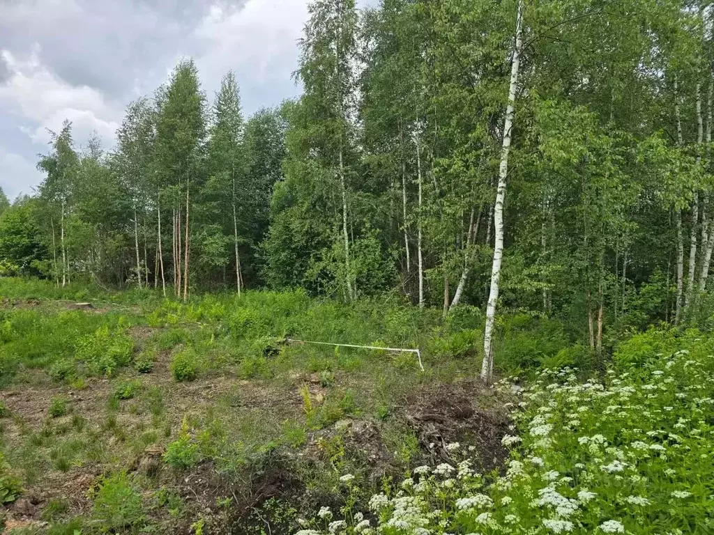 Участок в Ленинградская область, Всеволожский район, пос. Щеглово ул. ... - Фото 1