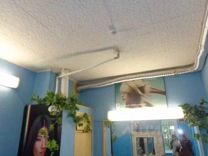 Помещение свободного назначения в Архангельская область, Архангельск ... - Фото 1