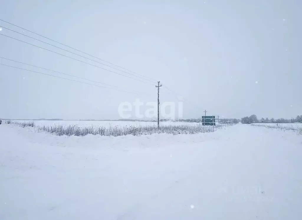 Участок в Московская область, Коломна городской округ, пос. Биорки  ... - Фото 2