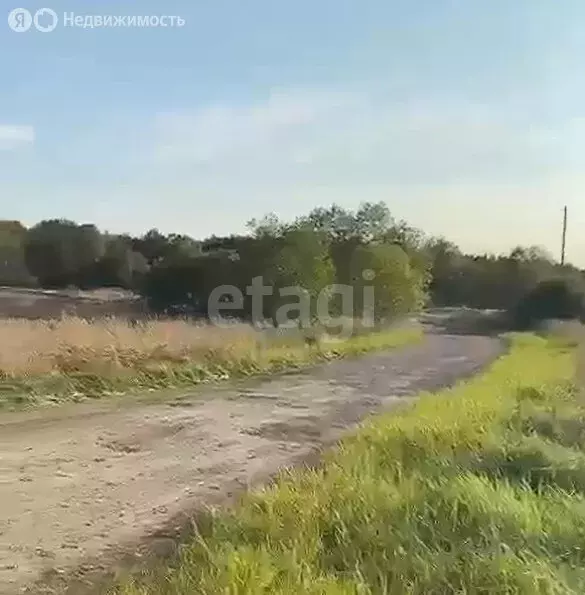 Участок в Талдомский городской округ, деревня Князчино (12 м) - Фото 1