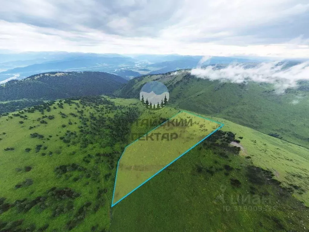 Участок в Алтай, Усть-Коксинский район, с. Усть-Кокса Советская ул. ... - Фото 1