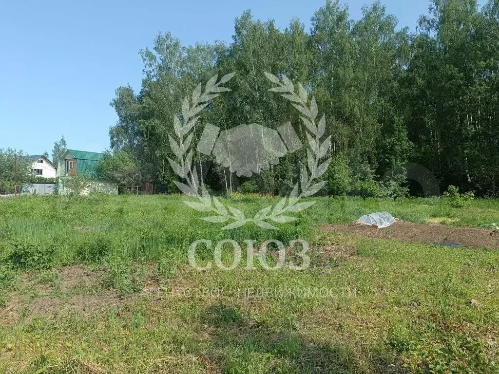 Участок 20 сот. (ИЖС) - Фото 0