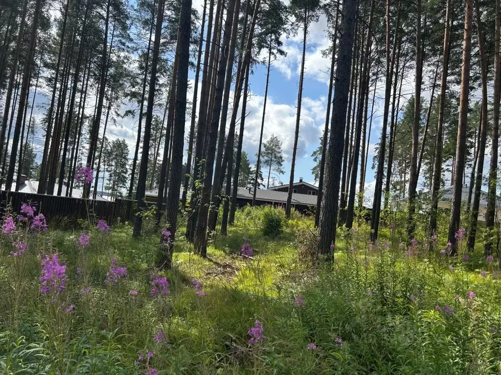 Участок в Свердловская область, Сысерть ул. Вербная (20.0 сот.) - Фото 1