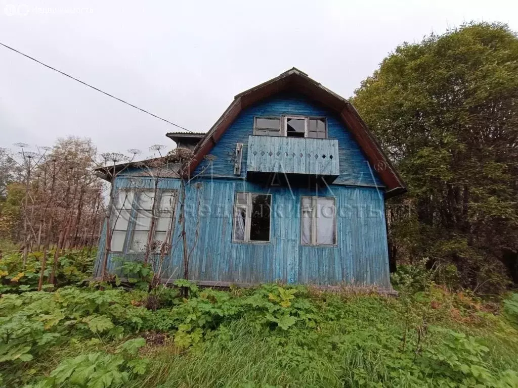 Дом в Лодейнопольский район, Янегское сельское поселение, деревня ... - Фото 2