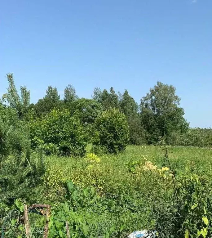 Участок в Московская область, Талдомский городской округ, д. Фоминское ... - Фото 1