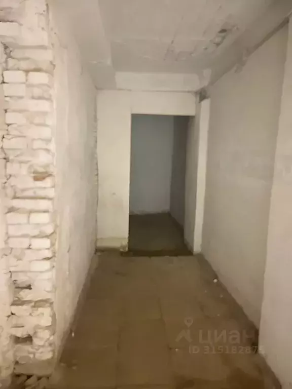 Торговая площадь в Свердловская область, Екатеринбург ул. ... - Фото 0