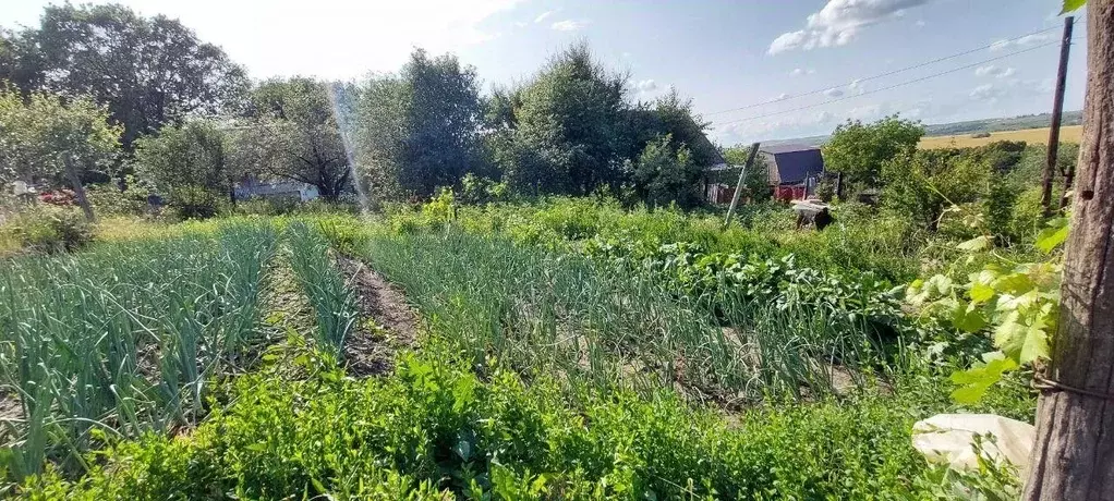 Участок в Саратовская область, Саратов ул. Волжский берег, 66 (10.0 ... - Фото 2